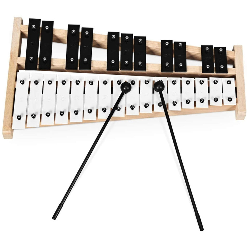 Redsmile 27 Note Glockenspiel Xylophone with 2 Rubber Mallets and Carrying Bag Wide Scale Musical Instrument for Kids and Beginners, Black and White